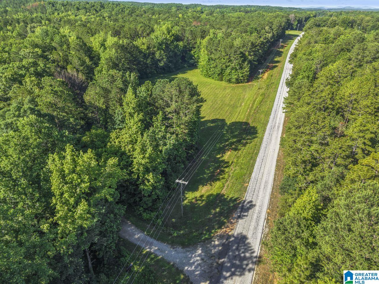 0 Berney Station Road Talladega, AL 35160 - Photo 29 of 32 Gallery Image 29