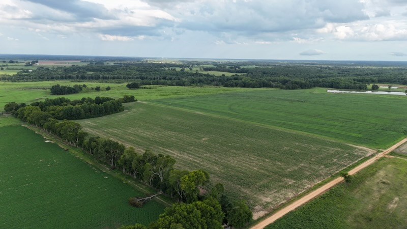 0 Hollis Dairy Road Newton, AL 36352 - Photo 5 of 13