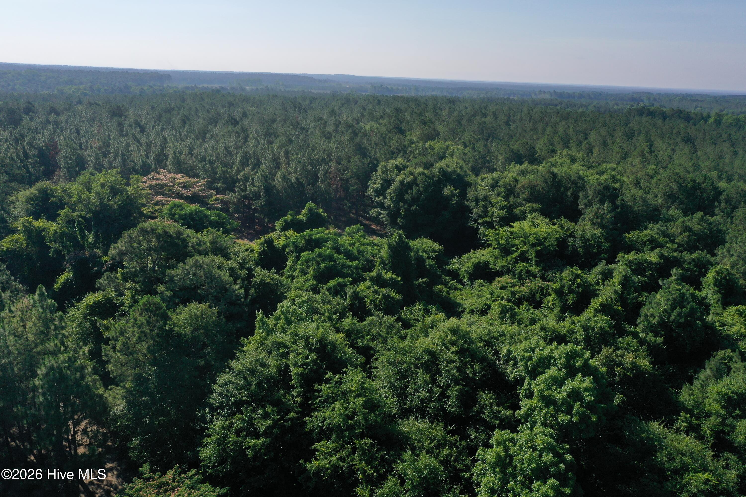 Tbd Jones Spring Church Road Ellerbe, NC 28338 - Photo 27 of 29