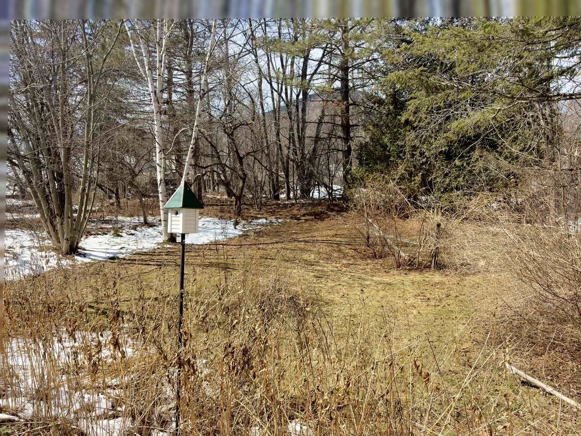 141 Main Street Colebrook, NH 03576 - Photo 6 of 31