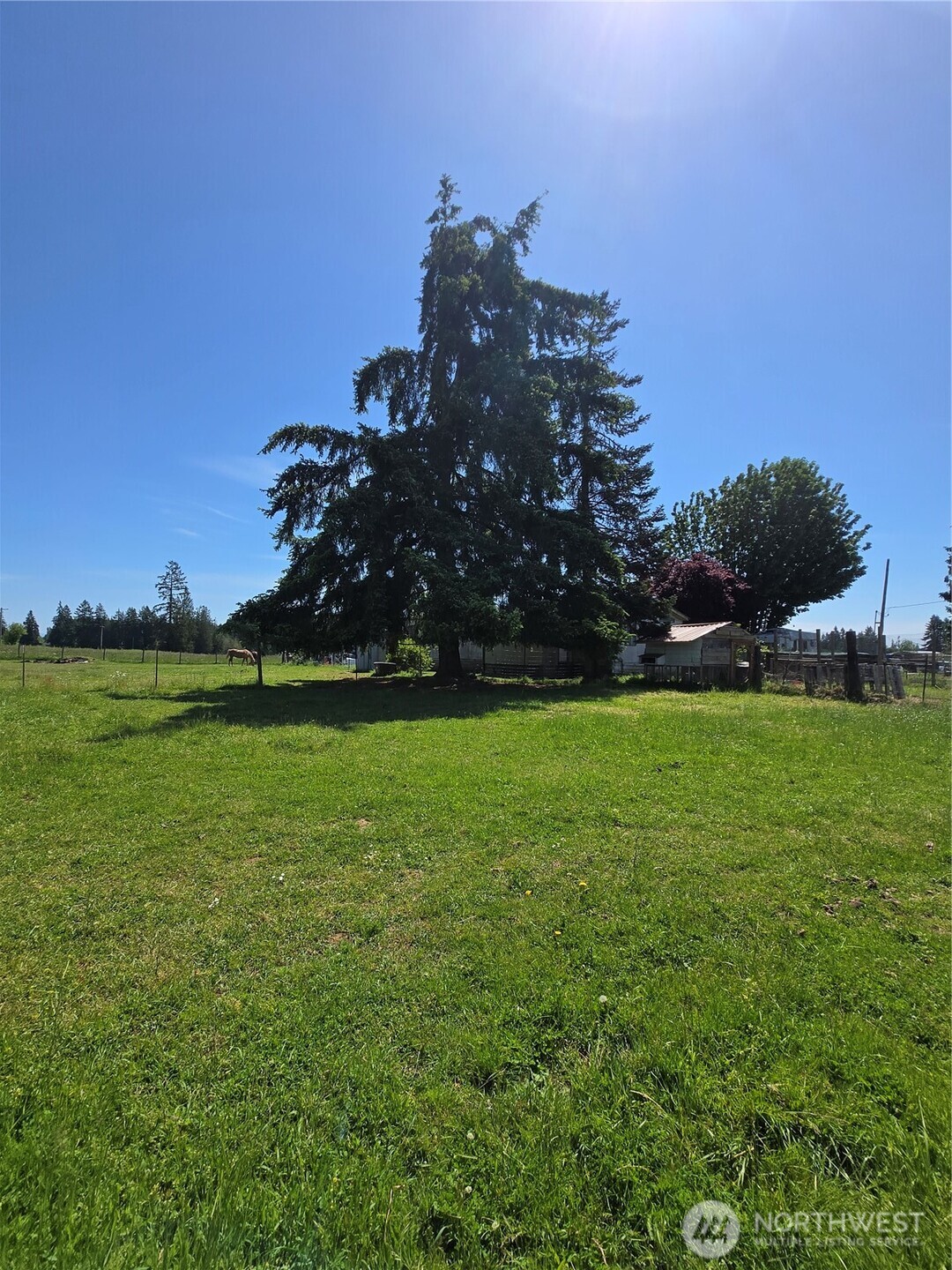 205 Nikula Road Winlock, WA 98596 - Photo 11 of 37