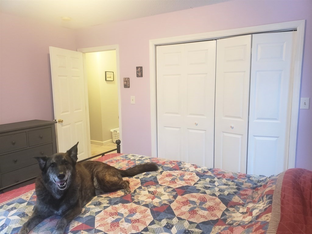 174 Old Belchertown Road Ware, MA 01082 - Photo 28 of 42 a bedroom with a bed and a window