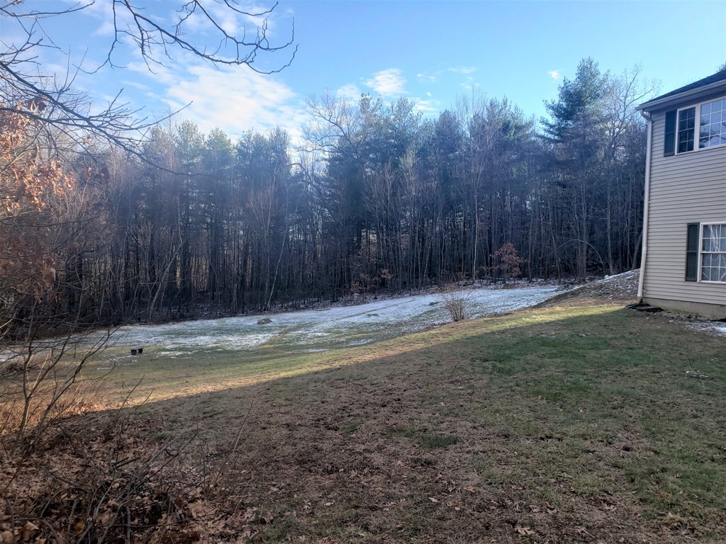 174 Old Belchertown Road Ware, MA 01082 - Photo 3 of 42 a view of a backyard with large trees