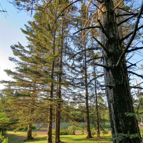 $285,000 | 5281 Highway 61, Lutsen, MN 55612