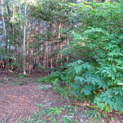 $285,000 | 5281 Highway 61, Lutsen, MN 55612