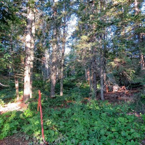 $285,000 | 5281 Highway 61, Lutsen, MN 55612