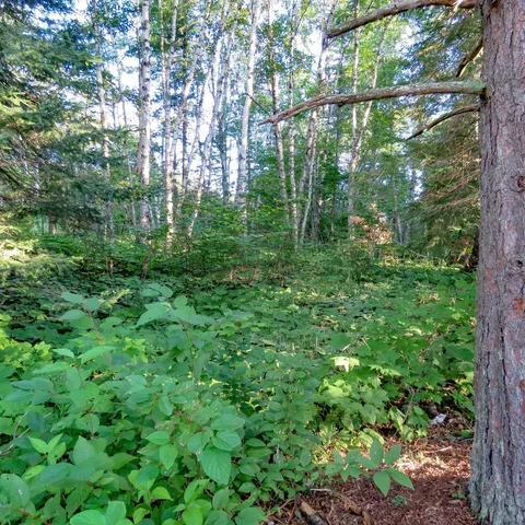 $285,000 | 5281 Highway 61, Lutsen, MN 55612