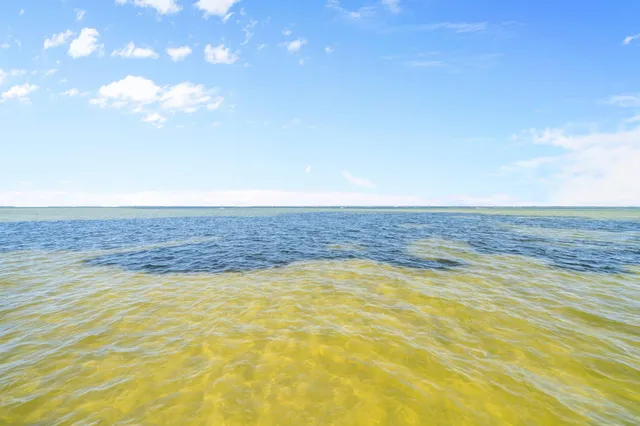 $2,600,000 | 411 Calhoun Avenue, Destin, FL 32541