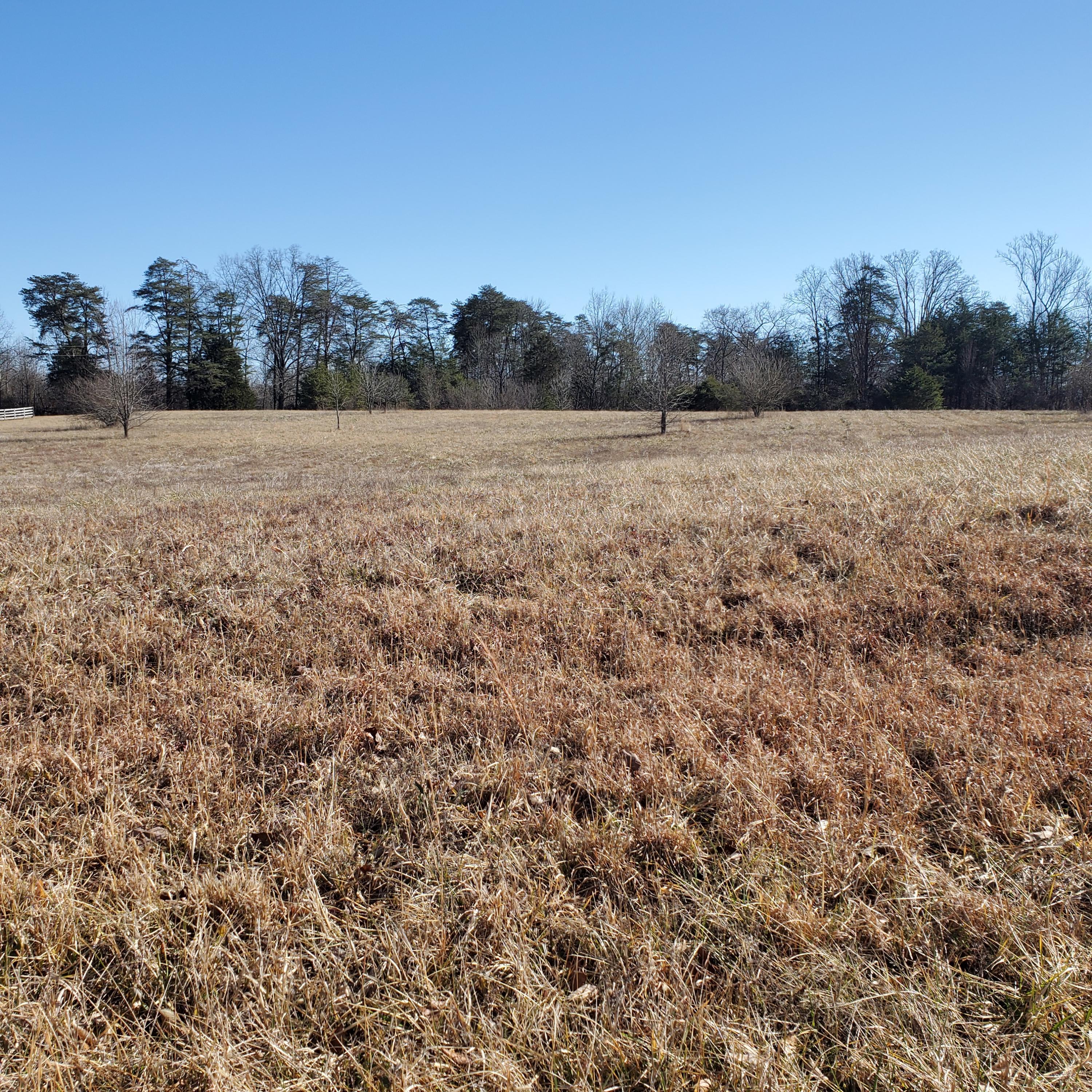 0 Flanagan Road Jamestown, KY 42629 - Photo 2 of 10 20210122_124045