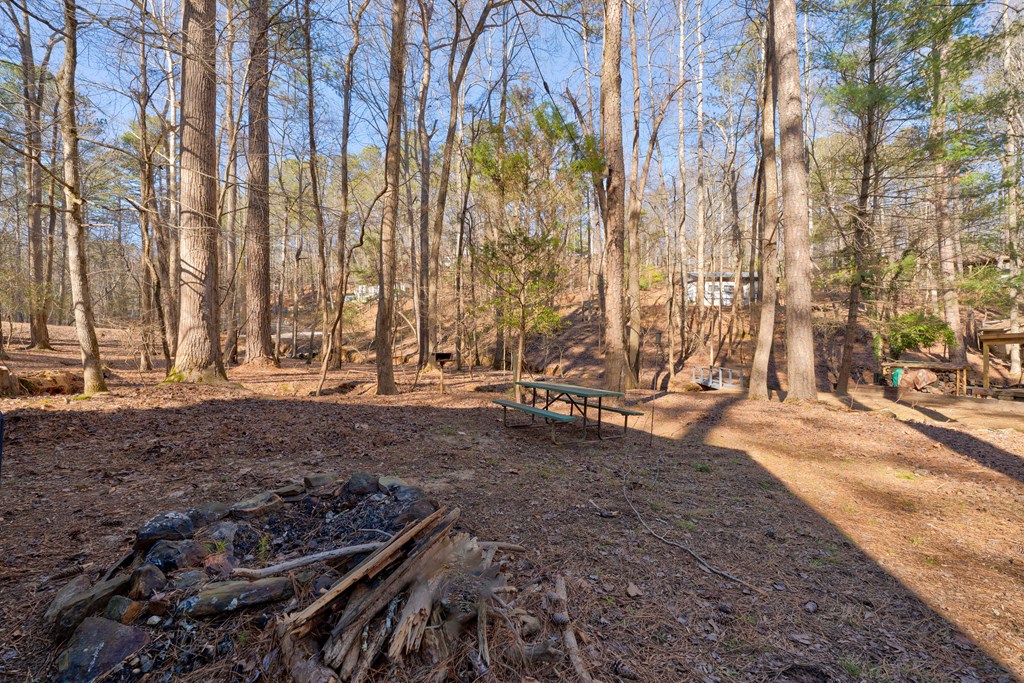 115 37th Street Ellijay, GA 30540 - Photo 25 of 40 Gallery Image 25