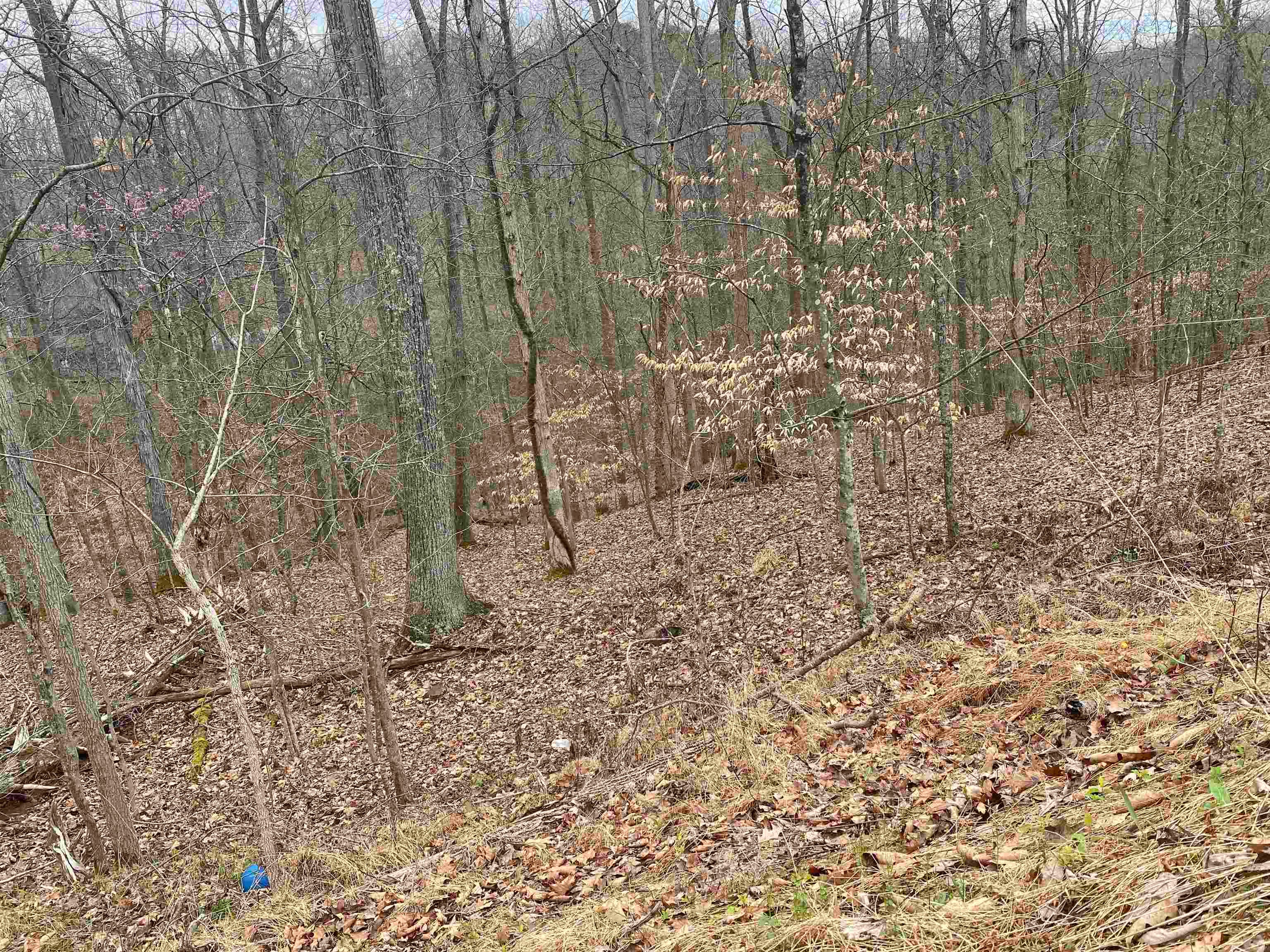 701 Tower Road Hurricane, WV 25526 - Photo 14 of 20 Gallery Image 14
