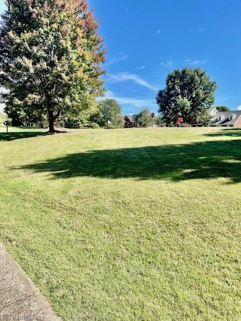 6103 Trotter Ridge Road Summerfield, NC 27358 - Photo 32 of 34 Front yard