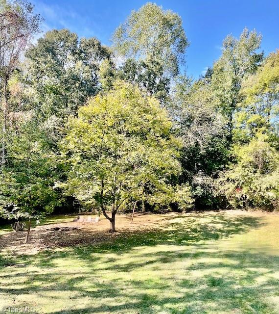 6103 Trotter Ridge Road Summerfield, NC 27358 - Photo 34 of 34 Back yard with possibility of a pool (permit not taken)