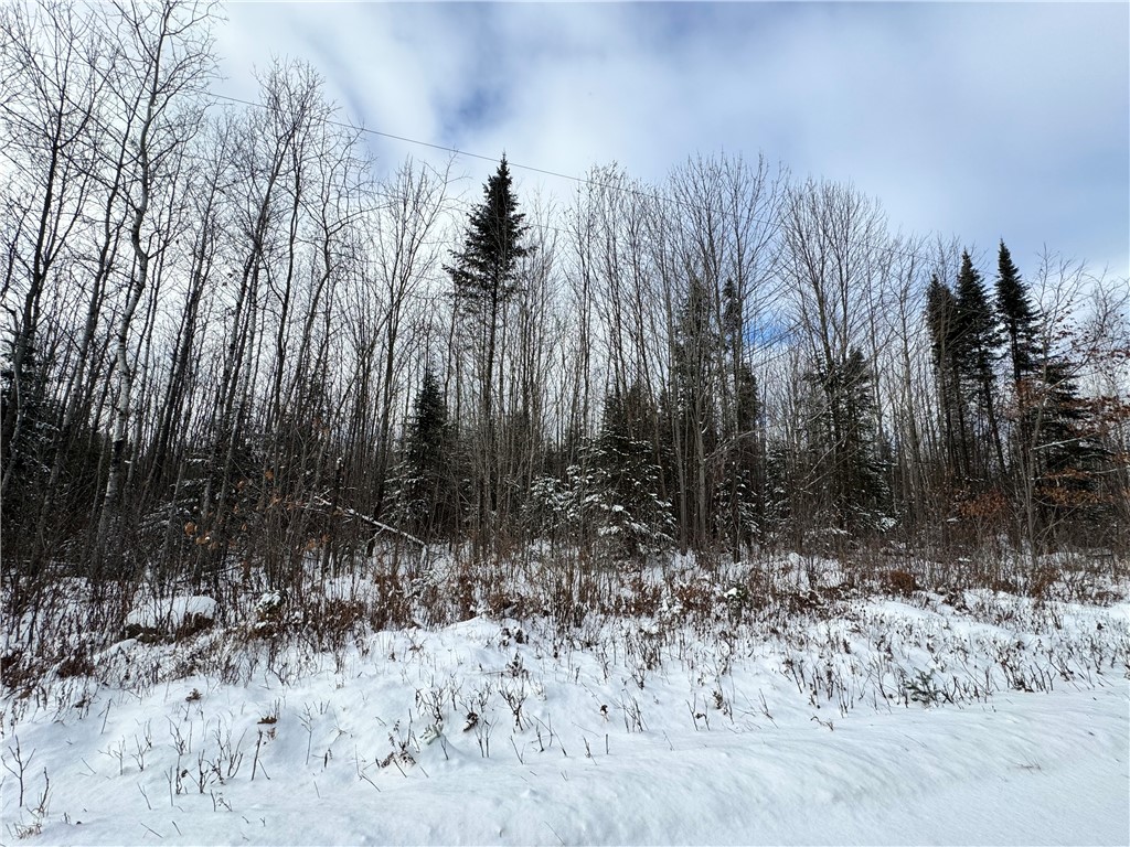Lot 3 Uncle Toms Road Winter, WI 54896 - Photo 4 of 5