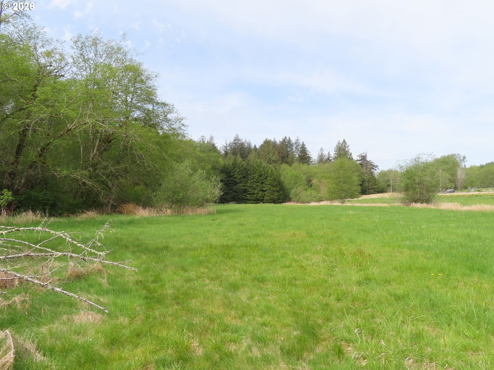 Hagen Road Mossyrock, WA 98564 - Photo 20 of 29