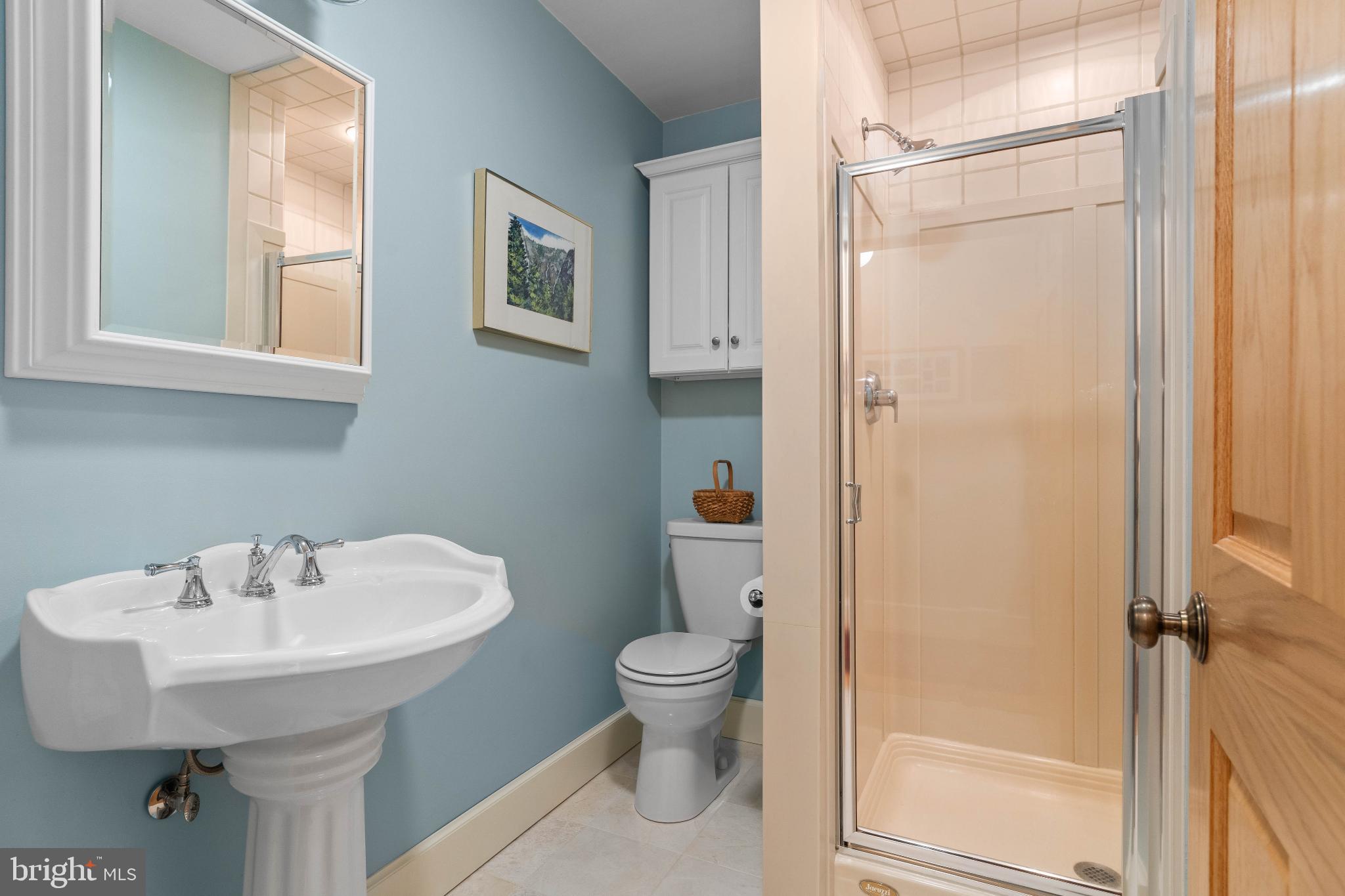 1036 Ulrich Road Julian, PA 16844 - Photo 15 of 40 Lower Level Bathroom w/walk in shower