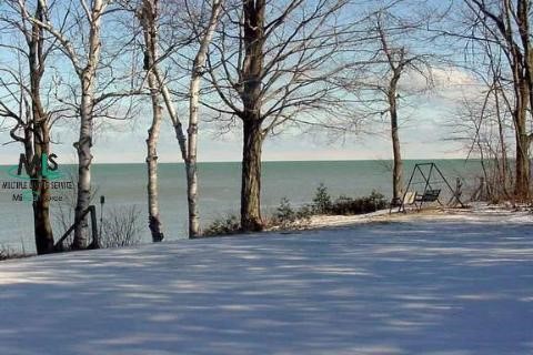 4681 Lakeshore Road Lexington, MI 48450 - Photo 7 of 7 794331-6.JPG