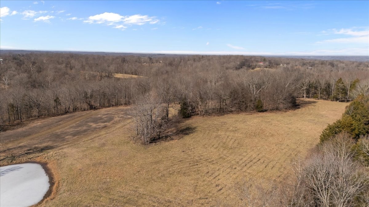 1429 Hunley Branch Road Charlotte, TN 37036 - Photo 47 of 51 a view of a dry yard with trees