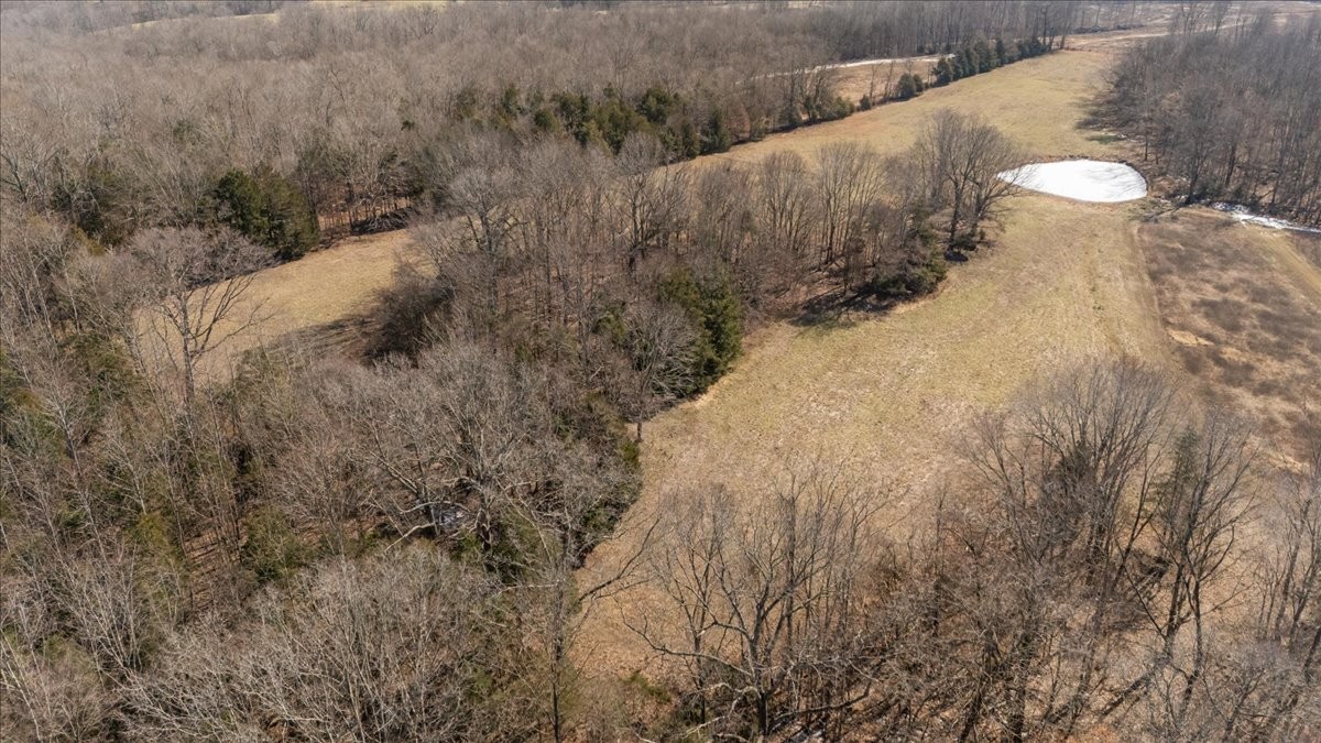 1429 Hunley Branch Road Charlotte, TN 37036 - Photo 48 of 51 a view of a yard