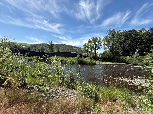a view of a yard with plants and a bench