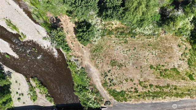 a view of a garden with a tree
