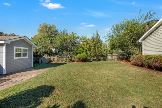 a view of a backyard with potted plants and large tree