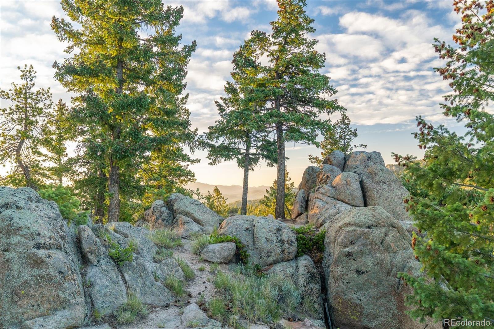 6371 Canyon Creek Road Evergreen, CO 80439 - Photo 4 of 50 a backyard of a house with lots of green space