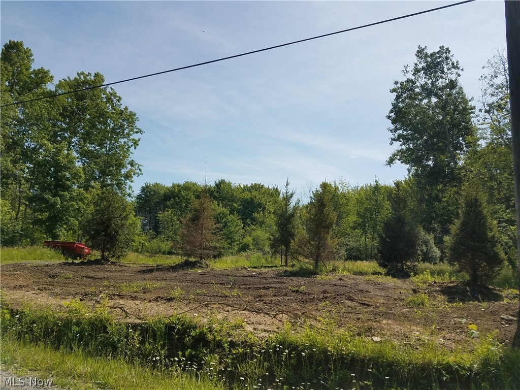 Sumner Road Thompson, OH 44086 - Photo 4 of 24