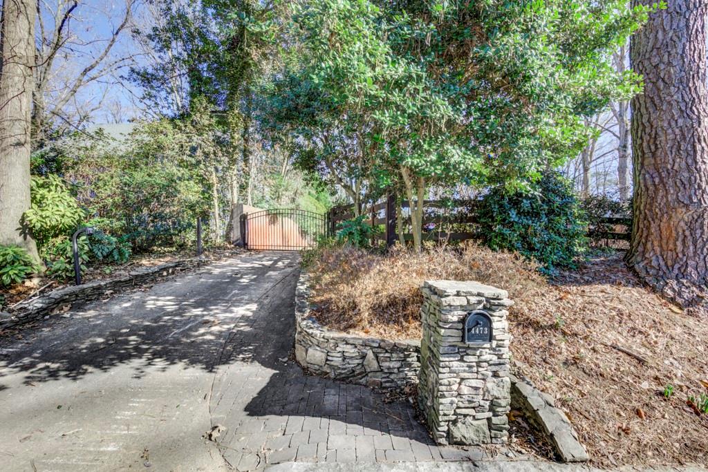 a view of a back yard