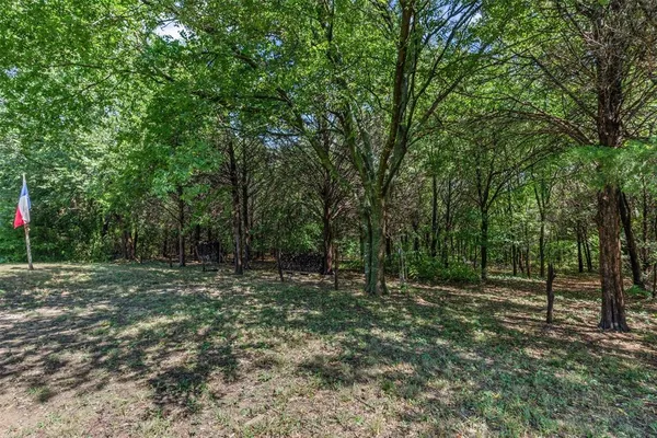 a big yard with lots of green space and deers