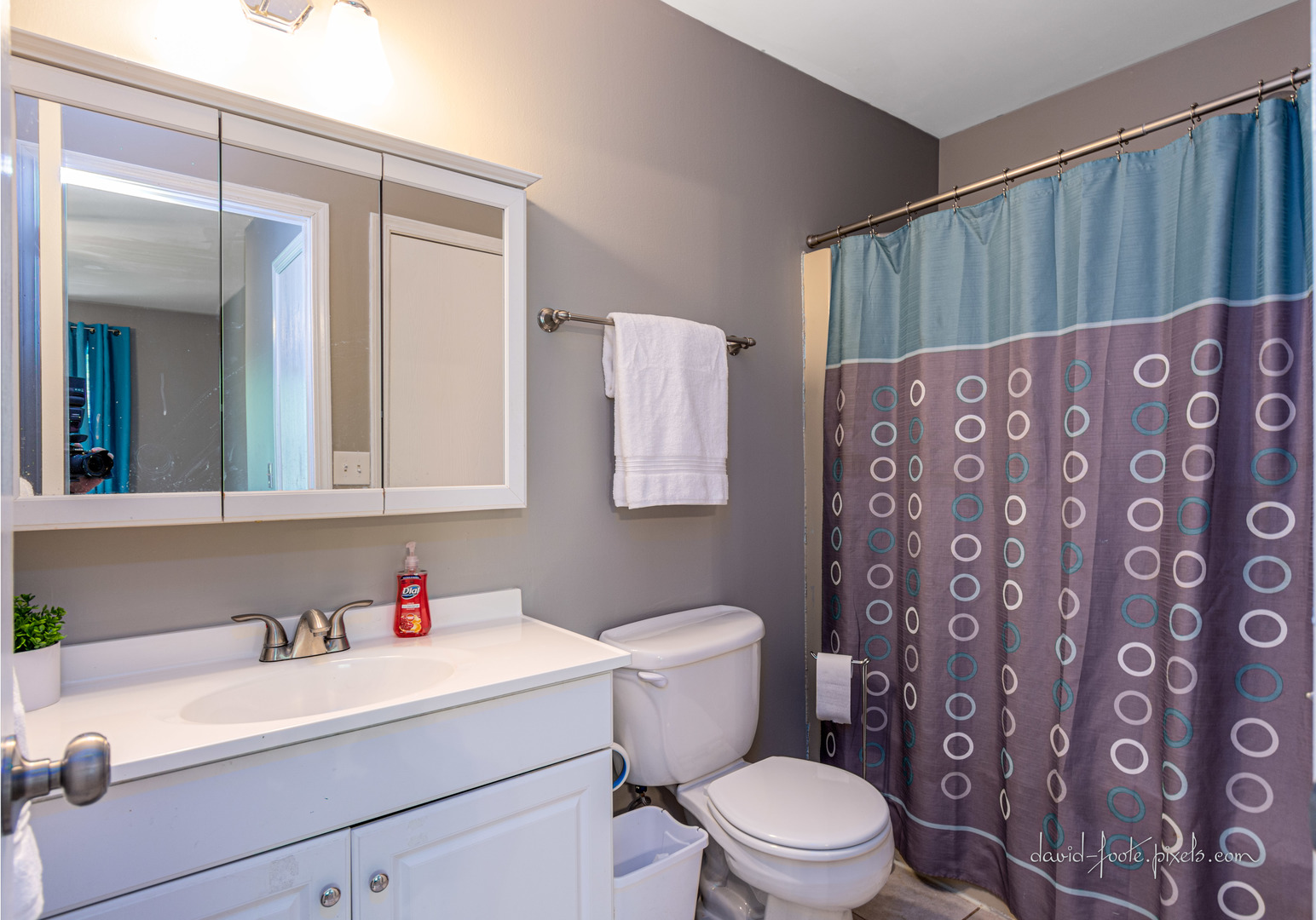 533 Milton Drive Naperville, IL 60563 - Photo 13 of 21