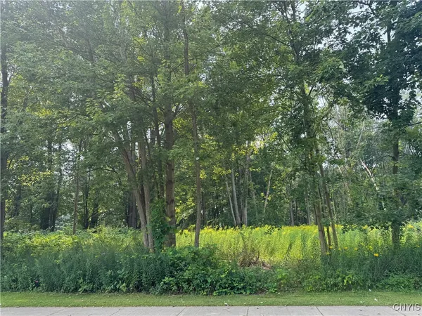 $90,000 | Mcclanathan Avenue, Blossvale, NY 13308