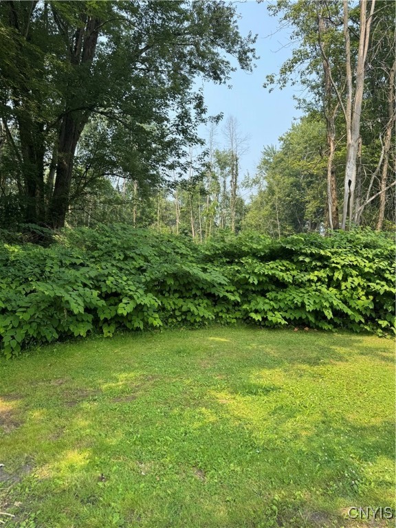 Mcclanathan Avenue Blossvale, NY 13308 - Photo 4 of 8 Cleared Corner Lot with Mature Surrounding Foliage