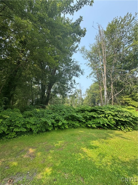 Mcclanathan Avenue Blossvale, NY 13308 - Photo 5 of 8 Cleared Corner Lot with Mature Surrounding Foliage