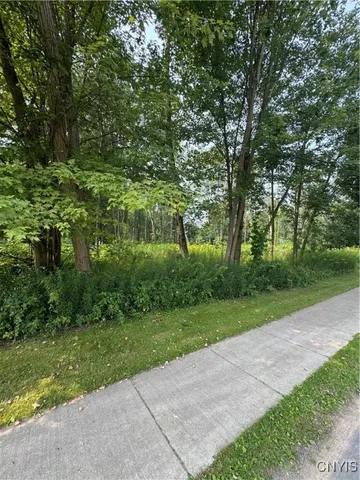 $105,000 | Mcclanathan Avenue, Blossvale, NY 13308