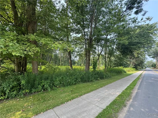 $105,000 | Mcclanathan Avenue, Blossvale, NY 13308