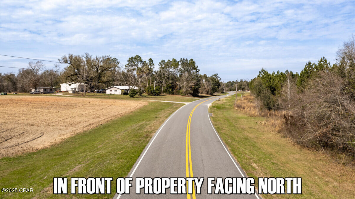 Tbd Salem Church Road Sneads, FL 32460 - Photo 8 of 21 Gallery Image 8
