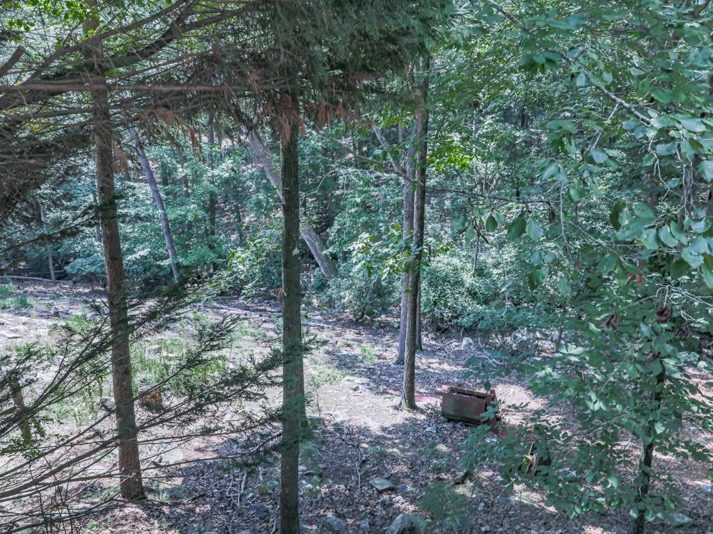137 Blue Fox Loop Waleska, GA 30183 - Photo 27 of 41