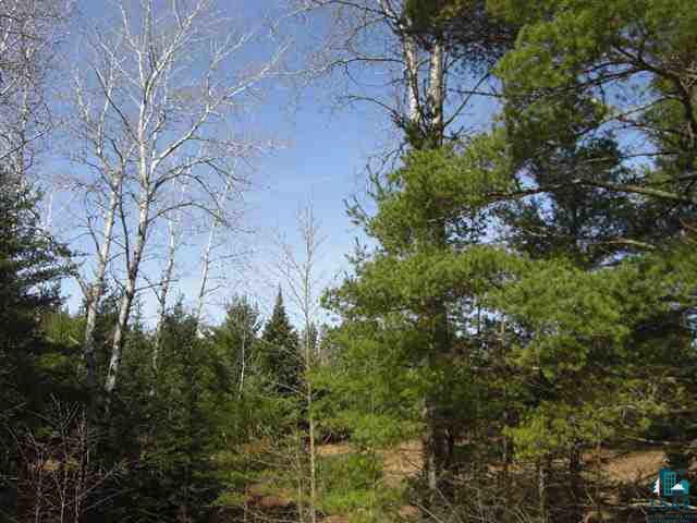 11805 Old Mill Road Cable, WI 54821 - Photo 8 of 8 Gallery Image 8