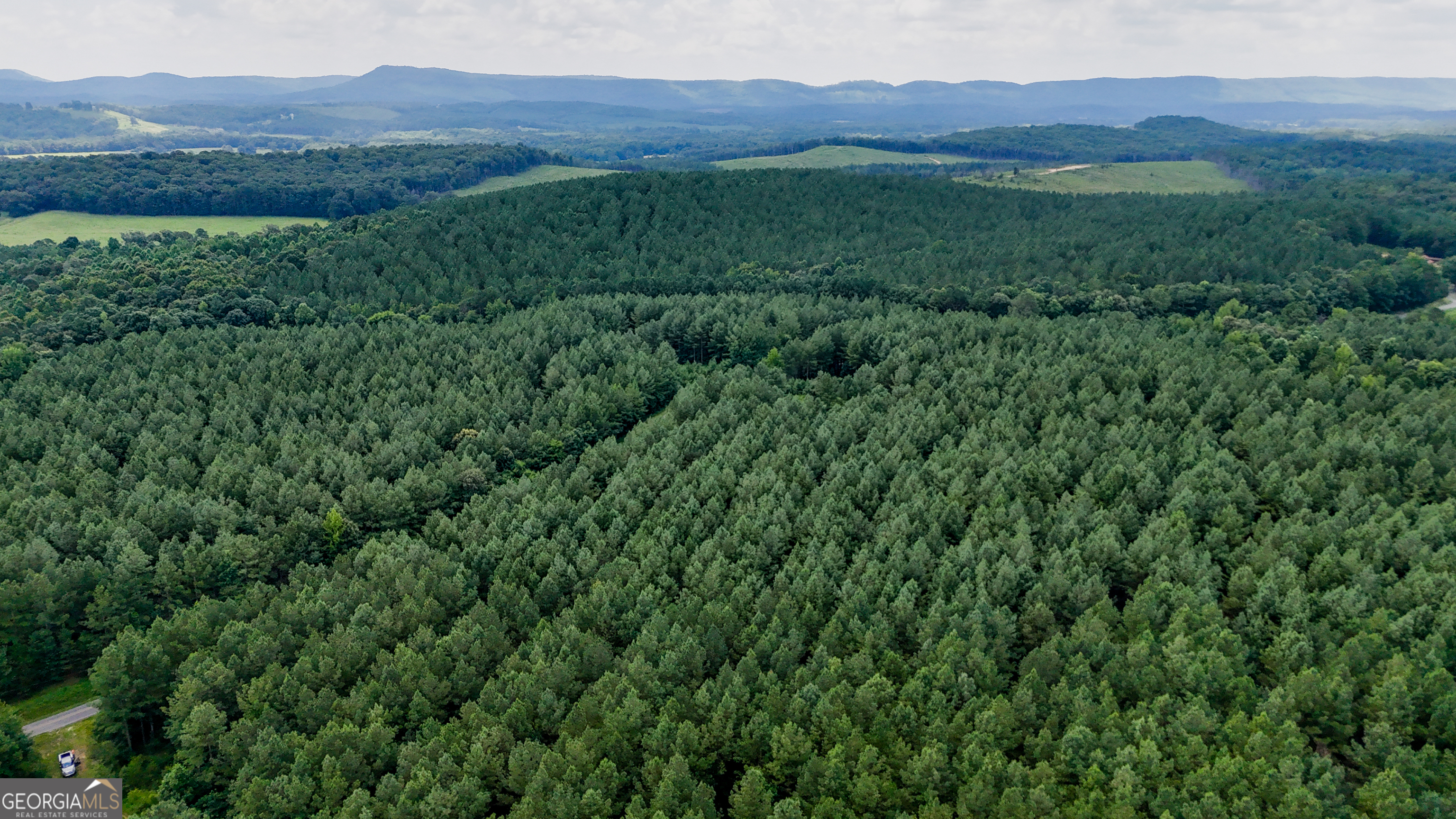a view of a lush green hillside and a mountain view