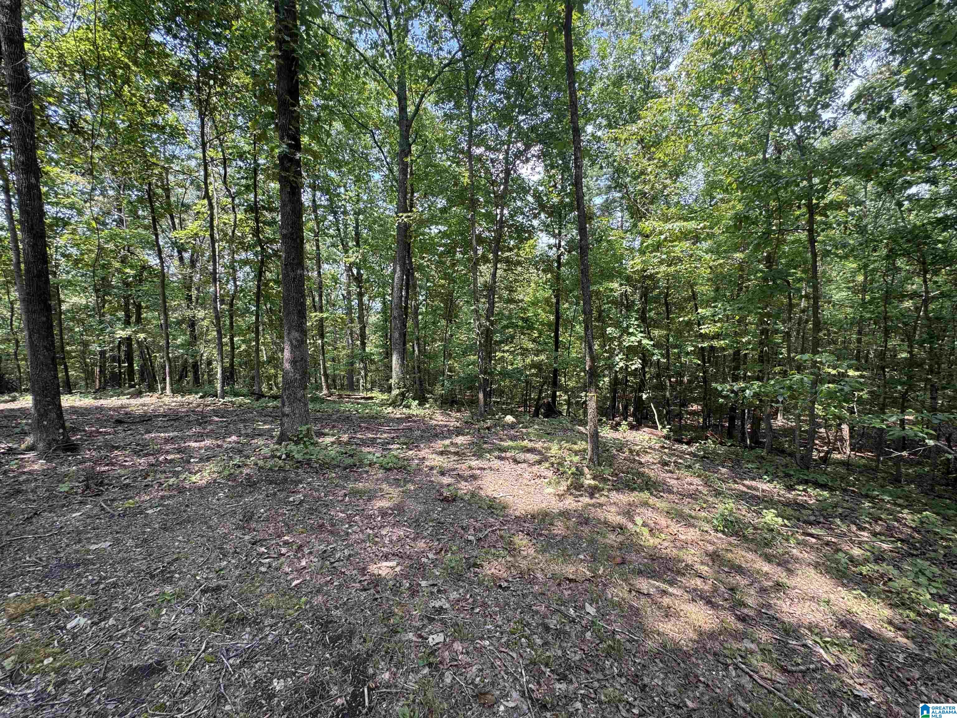 305 Stone Ridge Trail North Anniston, AL 36207 - Photo 48 of 72