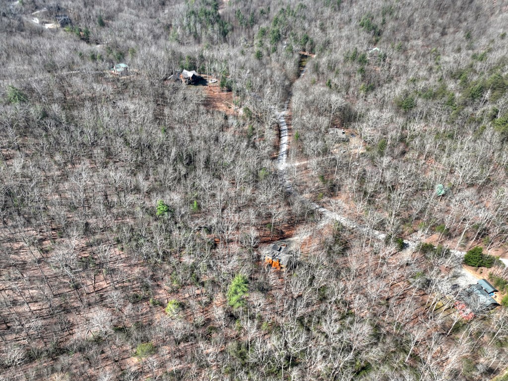 811 Mangum's Trail Blue Ridge, GA 30513 - Photo 53 of 70