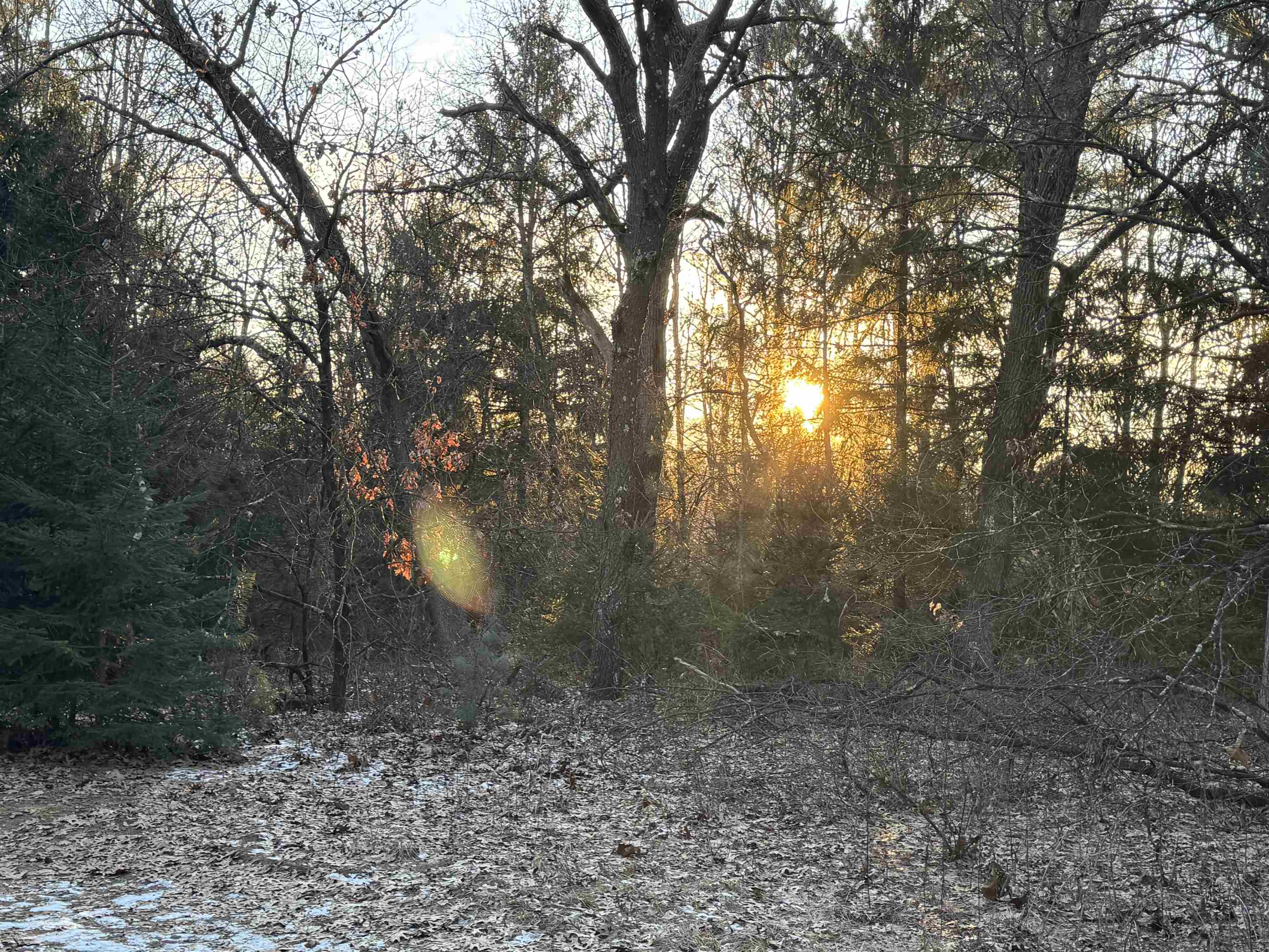 103-acres County Road V Lodi, WI 53555 - Photo 1 of 1