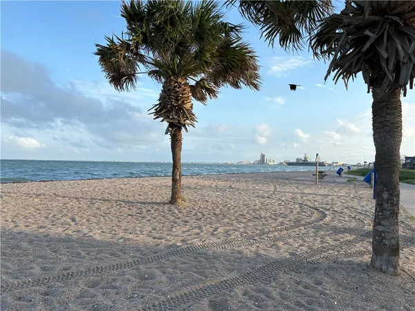 a view of a lake with a beach