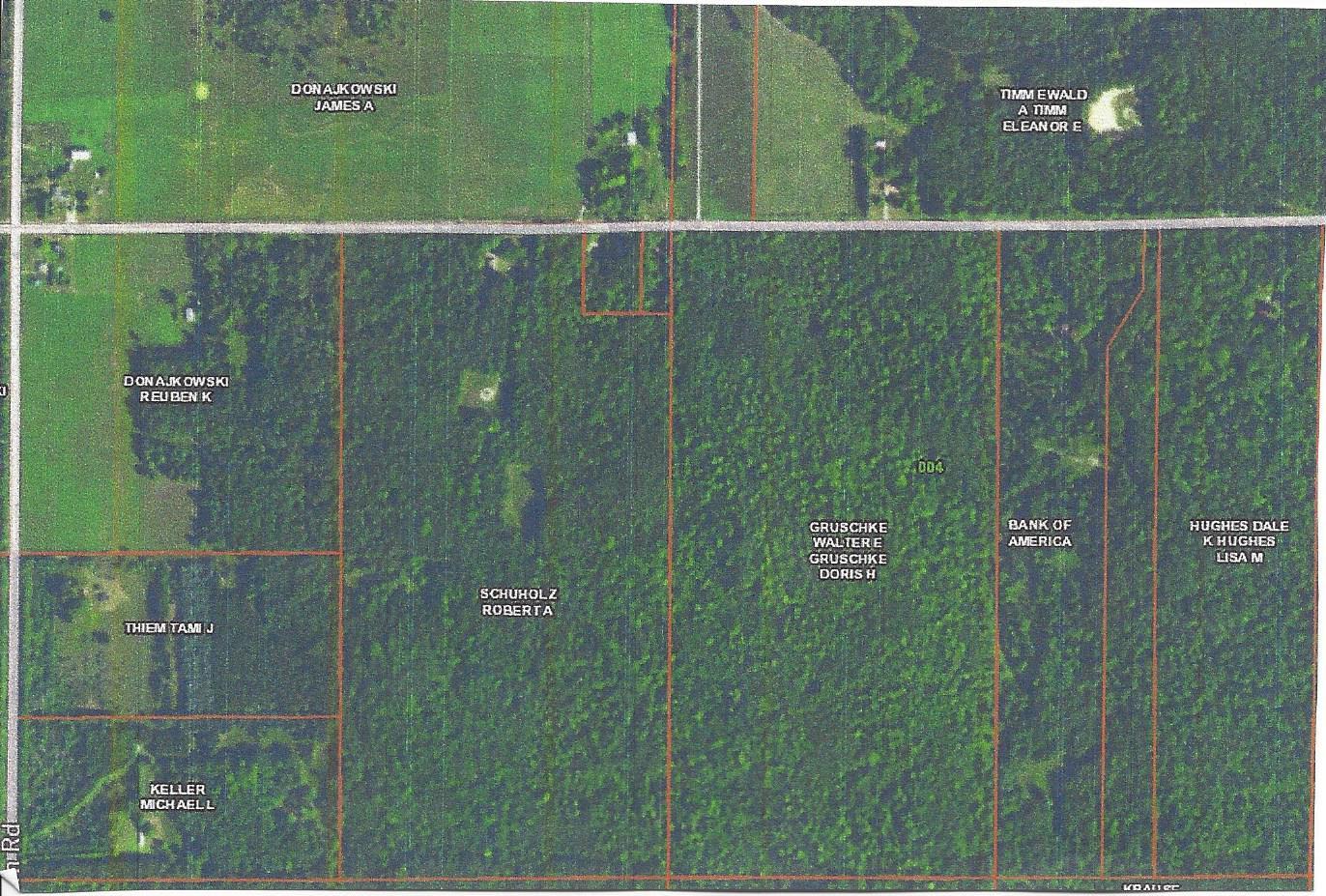 5333 Scott Road Hubbard Lake, MI 49747 - Photo 3 of 10 Gallery Image 3