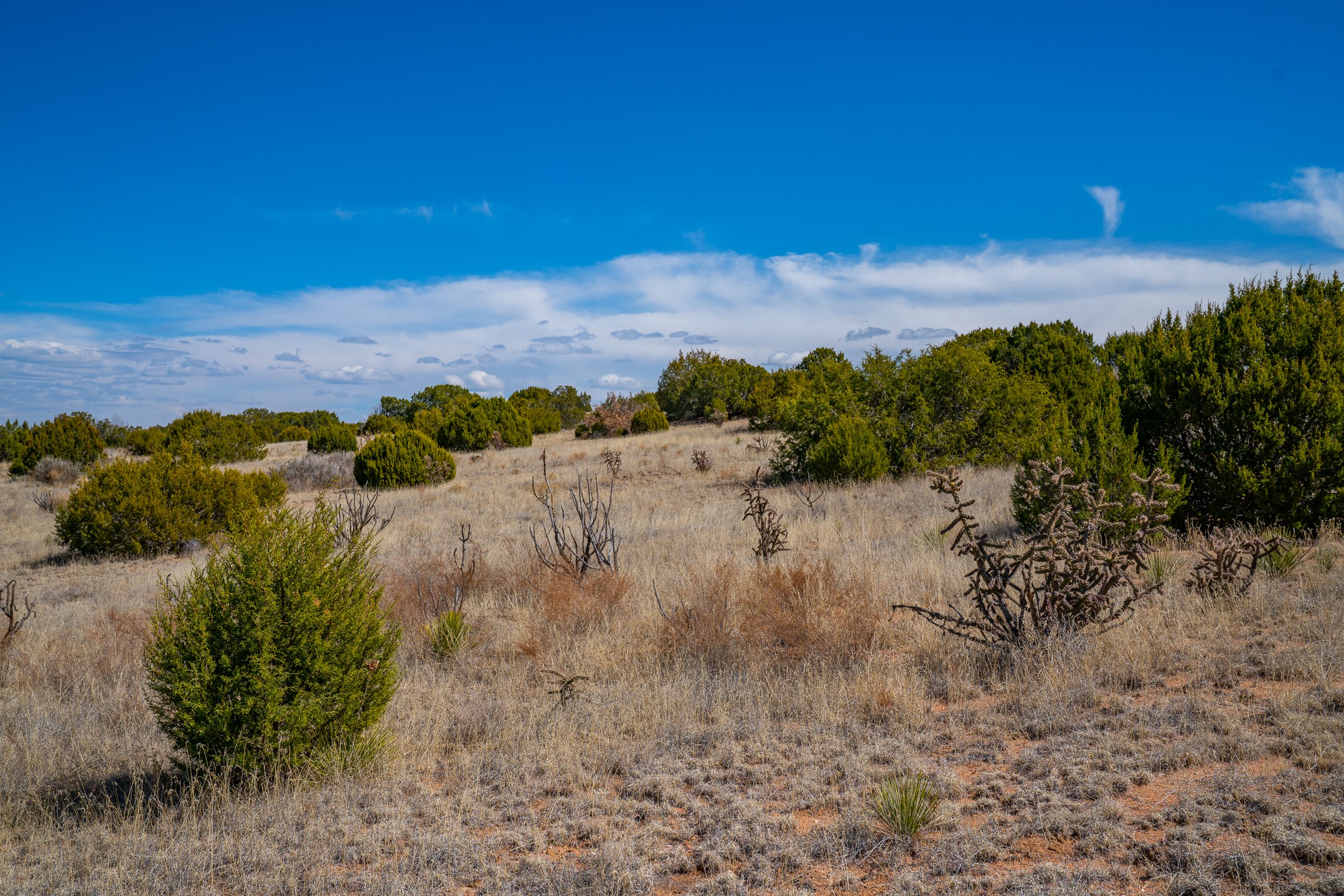 63 Crazy Rabbit Drive Santa Fe, NM 87508 - Photo 15 of 21