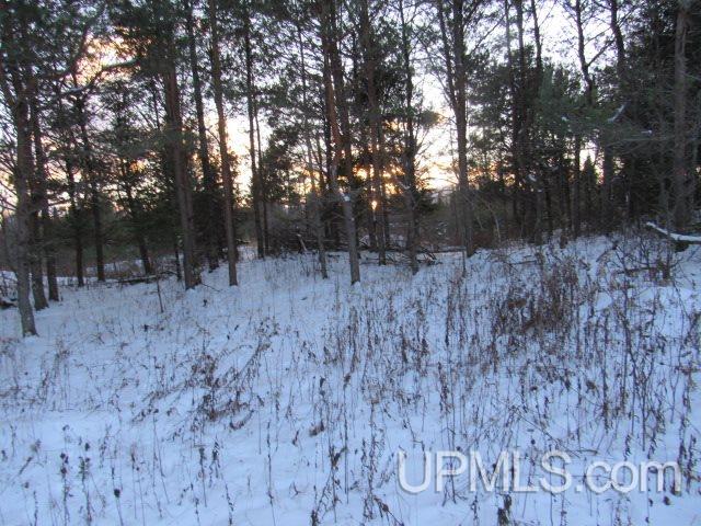 Tbd Tbd Tower Perkins, MI 49872 - Photo 17 of 22