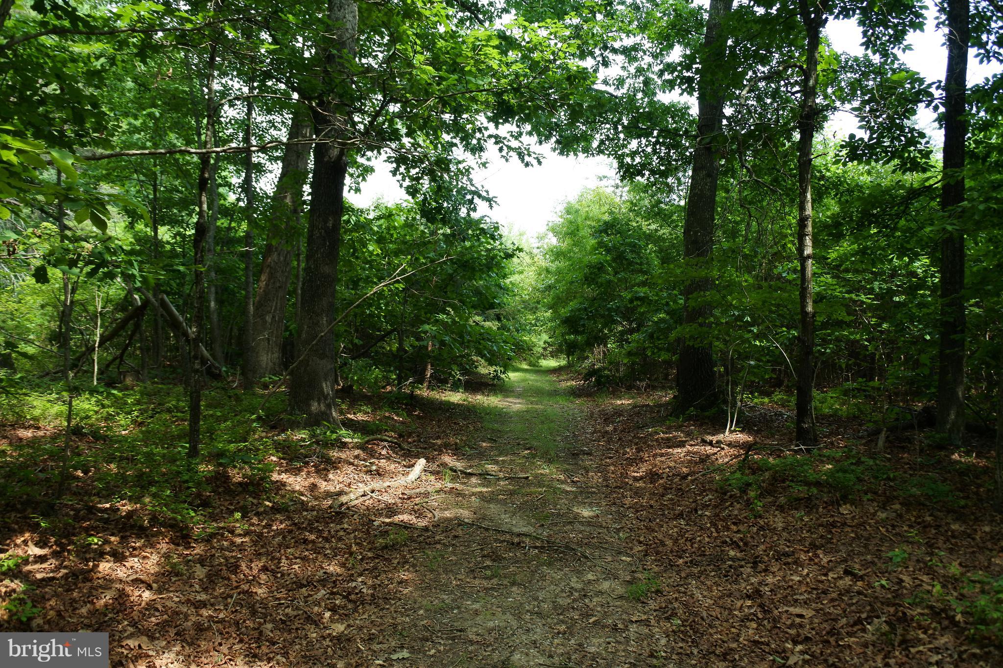 3454 Rock Run Road Goldvein, VA 22720 - Photo 22 of 40 Gallery Image 22