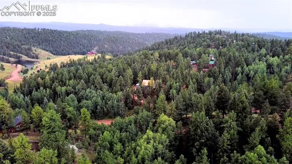 a view of a bunch of trees and bushes