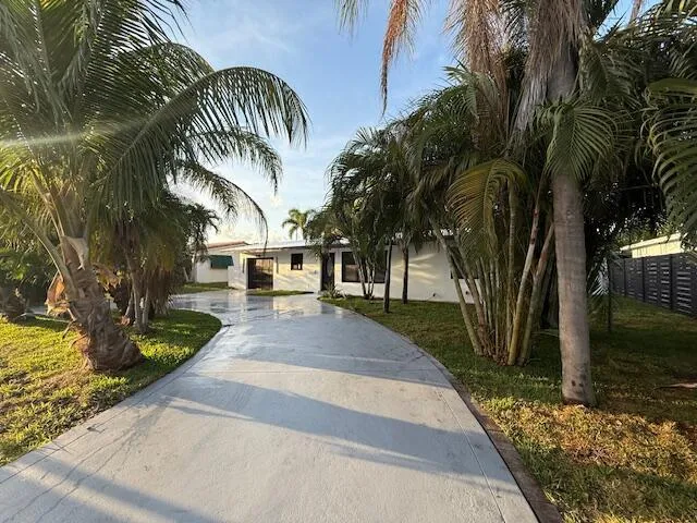 a view of a yard with plants and trees